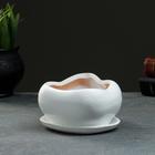 Горшок для кактусов и суккулентов «Бонсай», 600 мл, 18×14 см, керамический, с поддоном, белый - Фото 4