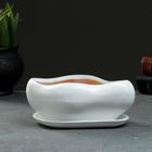 Горшок для кактусов и суккулентов «Бонсай», 600 мл, 18×14 см, керамический, с поддоном, белый - Фото 7