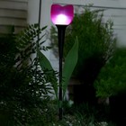 Садовый светильник на солнечной батарее «Тюльпан», 6 × 38 × 6 см, 1 LED, свечение белое - Фото 2