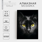 Алмазная мозаика с частичным заполнением «Чёрный кот», 15 х 21 см, холст. Набор для творчества - фото 108902124