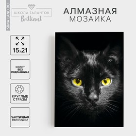 Алмазная мозаика с частичным заполнением на холсте «Чёрный кот», 15 х 21 см 3690742