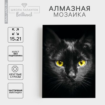 Алмазная мозаика с частичным заполнением «Чёрный кот», 15 х 21 см, холст. Набор для творчества