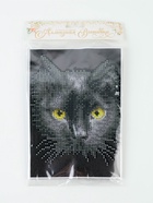Алмазная мозаика с частичным заполнением на холсте «Чёрный кот», 15×21 см - Фото 9