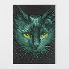 Алмазная мозаика с частичным заполнением на холсте «Чёрный кот», 15 х 21 см - Фото 2