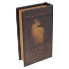 Шкатулка книга "Нефертити" 21х13х5 см - Фото 3