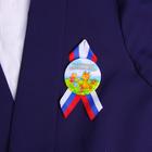 Значок на выпускной закатной «Выпускник детского сада», d=5.7 см - Фото 2