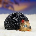 Садовая фигура из гипса «Ёжик Тим», 16×12×10 см - Фото 4