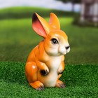 Садовая фигура "Заяц Тоша" 20х13х10см - Фото 5