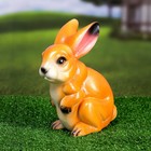 Садовая фигура "Заяц Тоша" 20х13х10см - Фото 8