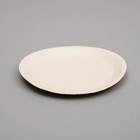 Биоразлагаемая тарелка, 18 х 18 см - Фото 1