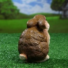 Садовая фигура из гипса «Заяц весёлый», 14×10×16 см, МИКС - Фото 8