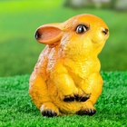 Садовая фигура из гипса «Заяц весёлый», 14×10×16 см, МИКС - Фото 9