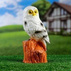 Садовая фигура "Сова на пне" полярная, 28см - Фото 5