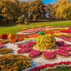 Щепа декоративная, красная 20л. - Фото 4