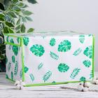 Короб стеллажный для хранения с крышкой «Тропики», 40×31×25 см - Фото 2