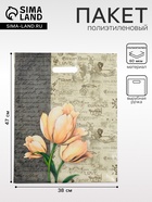 Пакет «Мемуары», полиэтиленовый, с вырубной ручкой, 38×47 см, 60 мкм - Фото 1