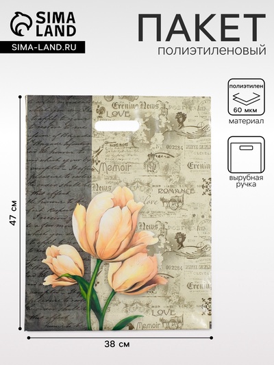 Пакет «Мемуары», полиэтиленовый, с вырубной ручкой, 38×47 см, 60 мкм