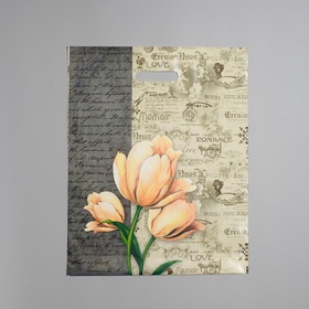 Пакет «Мемуары», полиэтиленовый, с вырубной ручкой, 38?47 см, 60 мкм (комплект 50 шт)