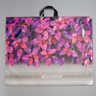 Пакет «Новелла», полиэтиленовый с петлевой ручкой, 71×55 см, 90 мкм 4262671