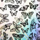 Плёнка упаковочная с голографией «Бабочки», 100 х 70 см - Фото 3