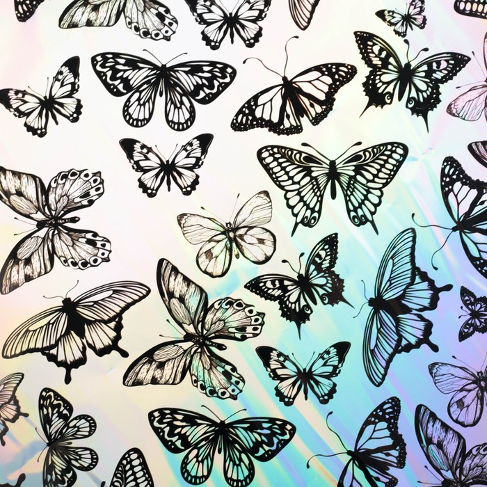 Плёнка упаковочная с голографией «Бабочки», 100 х 70 см - фото 1899671932