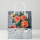 Пакет "Мэри", мягкий пластик, 23 х 27 см, 150 мкм (комплект 10 шт) - фото 24376551