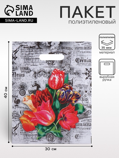 Пакет «Бристоль», полиэтиленовый с вырубной ручкой, 30×40 см, 35 мкм