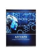 Предметная тетрадь по алгебре Calligrata «Металл», 48 листов, в клетку, со справочным материалом, обложка из мелованного картона - Фото 8