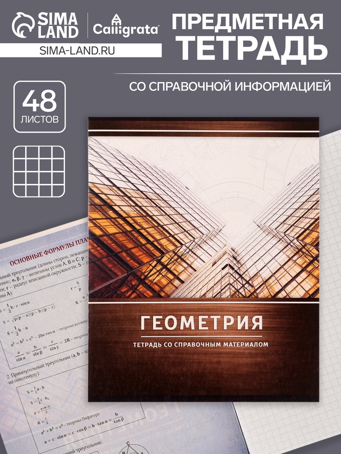 Предметная тетрадь по геометрии Calligrata «Металл», 48 листов, в клетку, со справочным материалом, обложка из мелованного картона - Фото 1