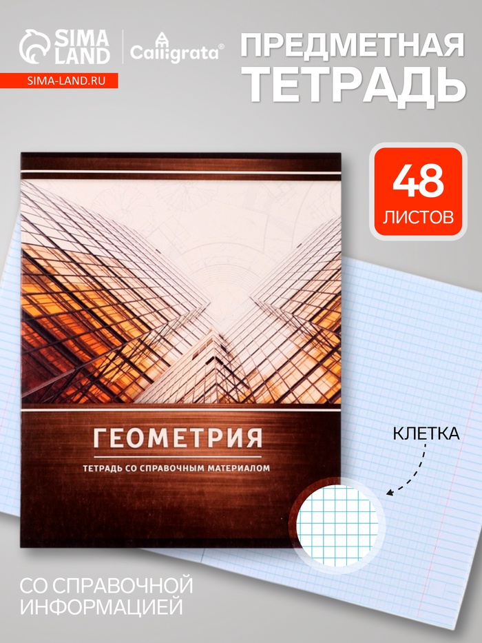 Предметная тетрадь по геометрии Calligrata «Металл», 48 листов, в клетку, со справочным материалом, обложка из мелованного картона - Фото 1