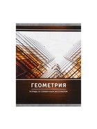 Предметная тетрадь по геометрии Calligrata «Металл», 48 листов, в клетку, со справочным материалом, обложка из мелованного картона - Фото 4