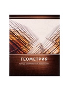 Предметная тетрадь по геометрии Calligrata «Металл», 48 листов, в клетку, со справочным материалом, обложка из мелованного картона - Фото 3