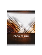 Предметная тетрадь по геометрии Calligrata «Металл», 48 листов, в клетку, со справочным материалом, обложка из мелованного картона - Фото 8