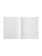 Предметная тетрадь по геометрии Calligrata «Металл», 48 листов, в клетку, со справочным материалом, обложка из мелованного картона - Фото 8