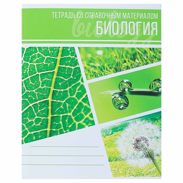 Тетрадь предметная Calligrata 