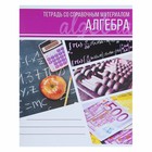 Тетрадь предметная "Коллаж", 48 листов в клетку "Алгебра" со справочным материалом, обложка мелованный картон, блок офсет - фото 8800356