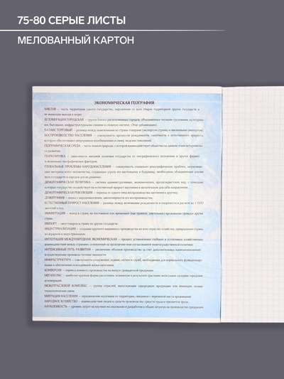 Предметная тетрадь по географии Calligrata «Металл», 48 листов, в клетку, со справочным материалом, обложка из мелованного картона