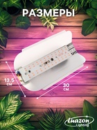 Фитопрожектор для растений Luazon Lighting СДО09-50, светодиодный, 50 Вт, IP65, 220 В, бескорпусный, мультиспектральный - Фото 2