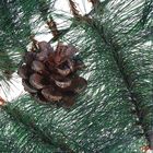 Гирлянда хвойная новогодняя «Серебро с шишками» ёлочная, 270 см, 110 веток - Фото 3