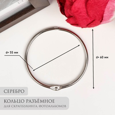 Кольцо для фотоальбомов «Серебро», внутренний d=5.5 см, внешний d=6 см