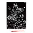 Гравюра на подложке «Бабочка на цветке» с металлическим эффектом «серебро» А4 - Фото 2