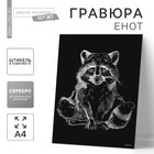 Гравюра на подложке «Енот» с металлическим эффектом «серебро» А4 - фото 8800935