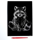 Гравюра на подложке «Енот» с металлическим эффектом «серебро» А4 - Фото 3