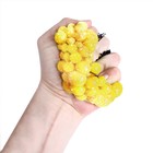 Набор для опытов «Мялка в сетке», с блёстками - Фото 2