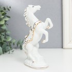 Сувенир керамика "Конь на дыбах" белый с золотом,  16х9х4,8 см - Фото 5