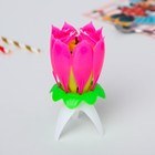 Свеча музыкальный цветок, Феи Винкс, 12.5 х 5.7 см - Фото 2