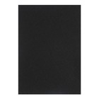 Набор фетра, А3, 10 цветов, толщина-1 мм - Фото 14