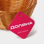 Корзинка для фруктов и хлеба Доляна «Плетёнка», 17×7 см, пластик, плетёная, коричневая - Фото 6