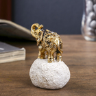 Сувенир полистоун "Слонёнок - Good luck" МИКС золото/серебро 6,5х5х4 см - Фото 4