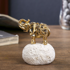 Сувенир полистоун "Слонёнок - Good luck" МИКС золото/серебро 6,5х5х4 см - Фото 5